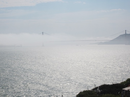 Le Golden Gate Bridge recouvert de brume