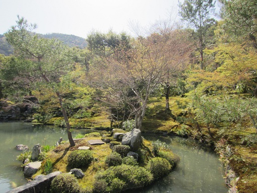 Le jardin de Tenryu-ji