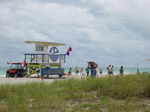 La plage, ses surfeurs