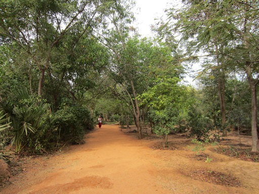 Le chemin vers le centre d'informations