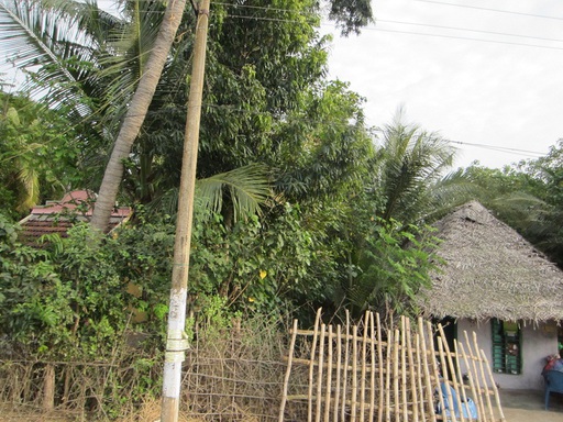 Petites maisons rurales