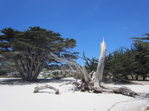 Sur la plage