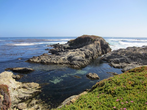 Un autre rocher avec des otaries