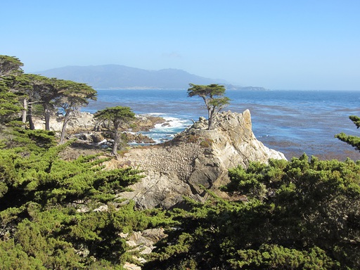 Un arbre tout seul sur son rocher