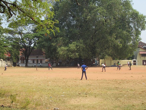 Joueurs de cricket