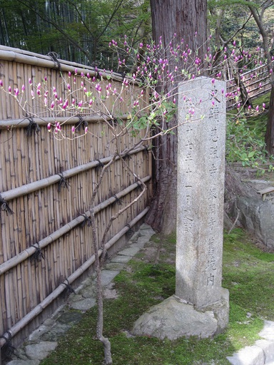 Dans le parc de Ginkaku-ji