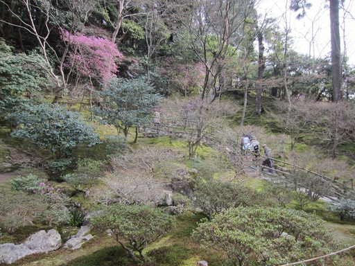 Dans le parc de Ginkaku-ji