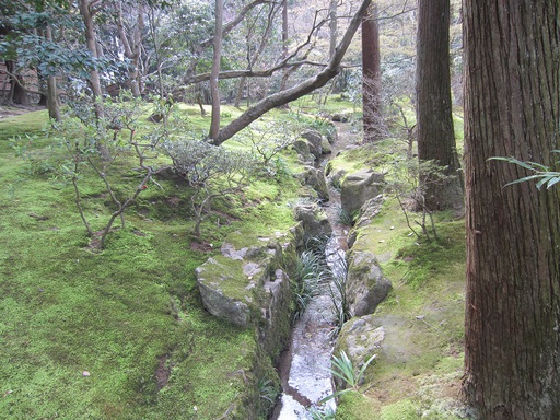 Dans le parc de Ginkaku-ji