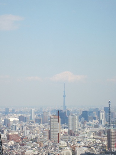 La célèbre tour des télécommunications de Tokyo