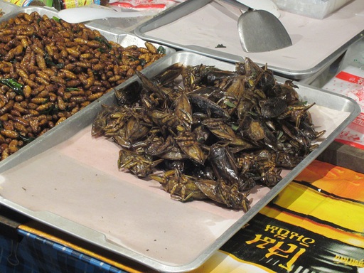 Des sortes de cafards (je ne me suis pas lancée, ne sachant pas comment les manger)