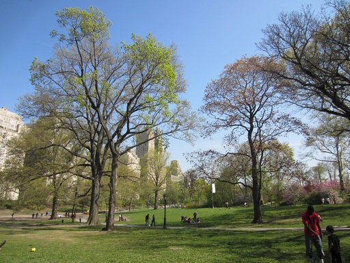 Central Park