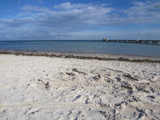 Petite sieste sur une plage de l'île