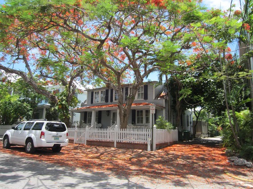 Une maison avec un bel arbre