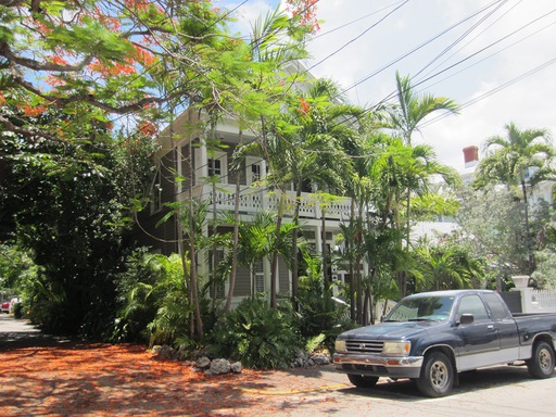 Une maison avec plein d'arbres