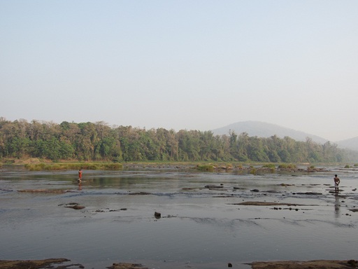 La rivière de Kotanad