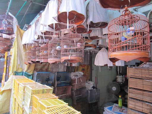 Le marché aux oiseaux