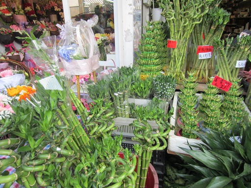 Le marché aux fleurs (bambous)