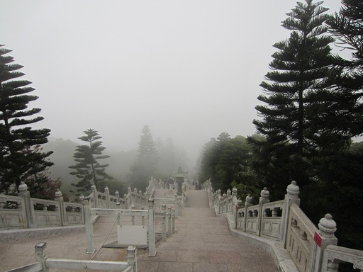 Les escaliers dans la brume