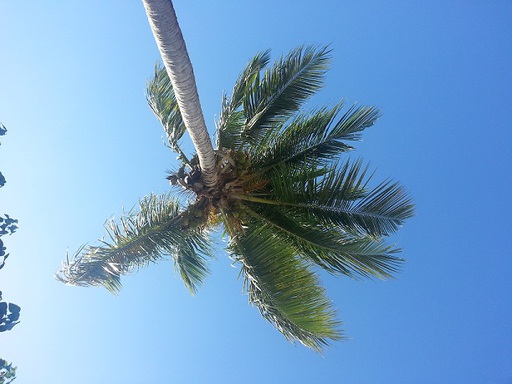 Plage du Gosier