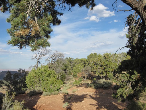 Sur un sentier