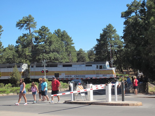 Le petit train du parc