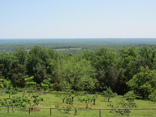 Vue de Monticello