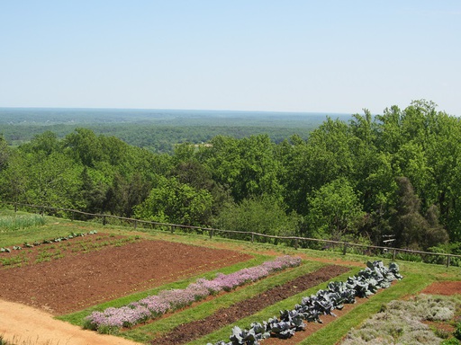 Les jardins et la vue!