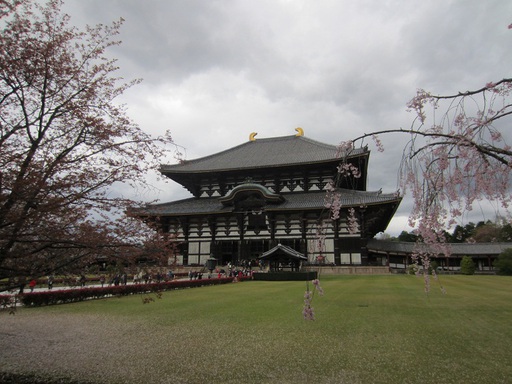 Le pavillon principal, le Daibutsu-den, le plus grand bâtiment en bois du monde (pourtant beaucoup plus petit que l'original)
