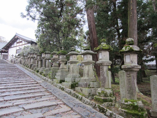 Vers le Nigatsu-do, une annexe du temple Todai-ji située en hauteur