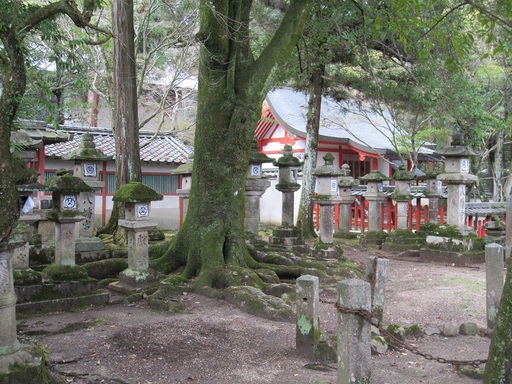 Le Kasuga Taisha, un monastère construit dans la forêt