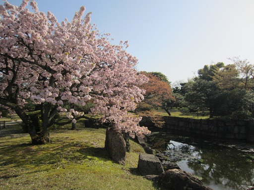 Les jardins