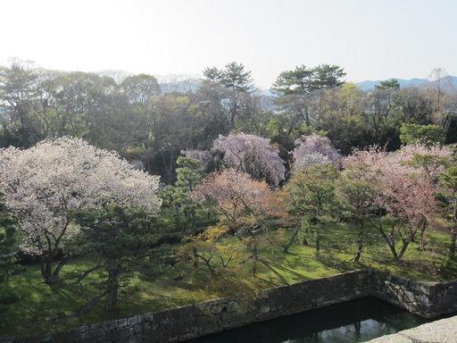 Vue sur le parc