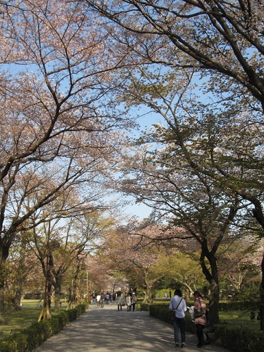 Un beau chemin du parc