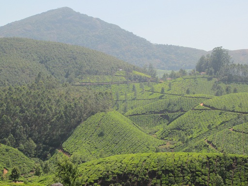 Vue des montagnes