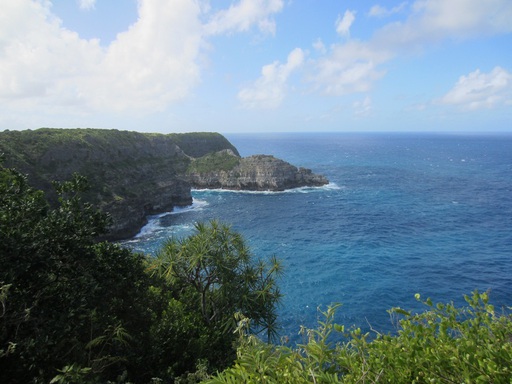 Vue de la Pointe de la Grande Vigie