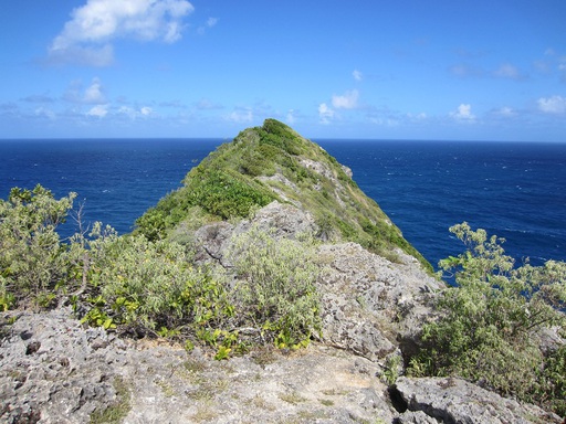 Pointe de la Grande Vigie