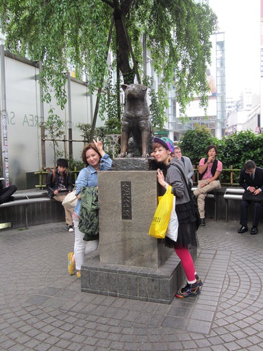 Hachiko, le célèbre chien fidèle