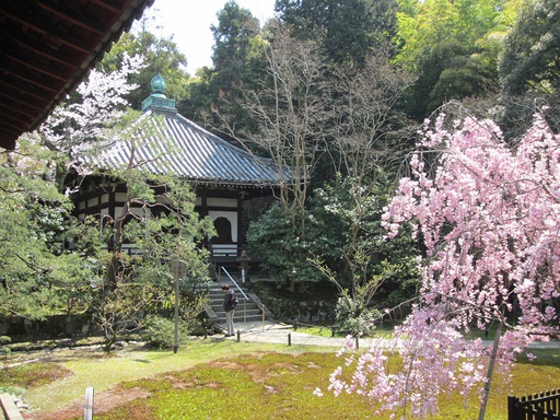 Vue du jardin