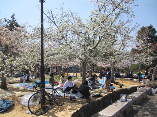 Japonais pique-niquant dans le parc