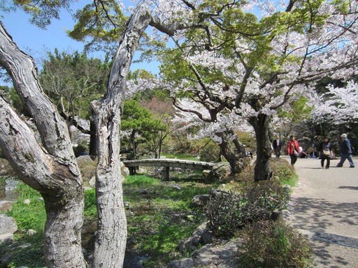 Le parc Maruyama