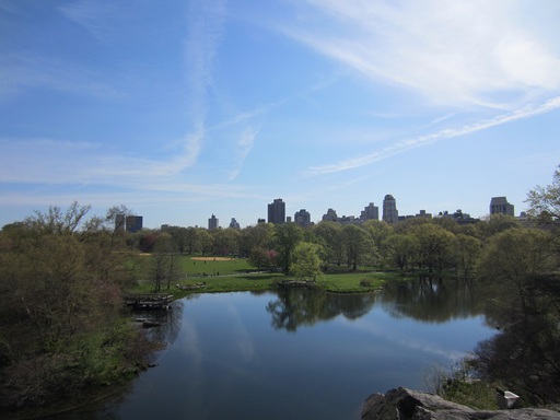 Premier aperçu de Central Park