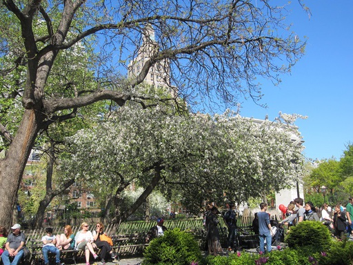 Dans le parc