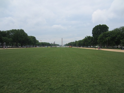 La grande pelouse du National Mall