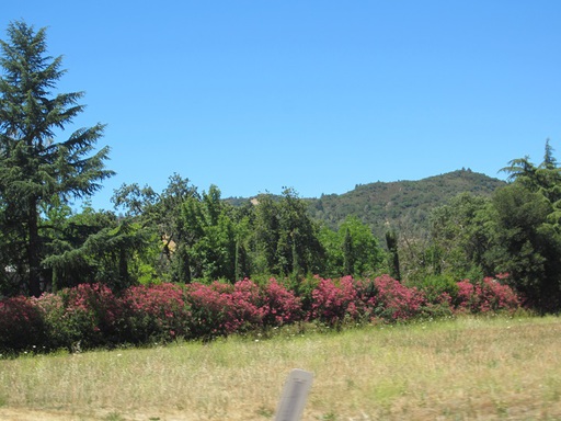 Paysage pris en photo depuis la voiture