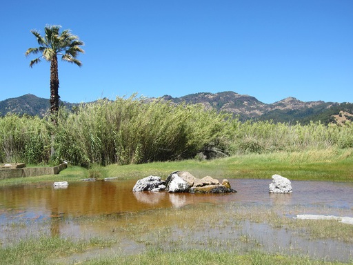 Le geyser artificiel de Calistoga, en mode repos