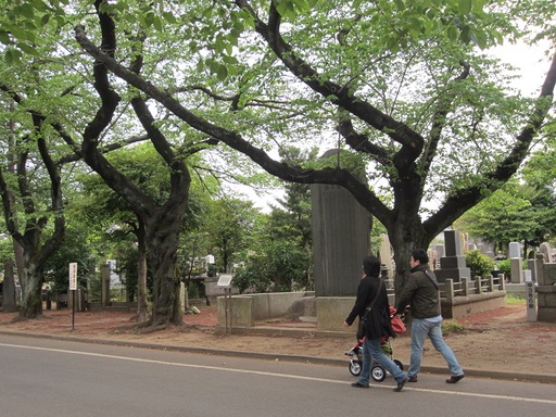 Le cimetière