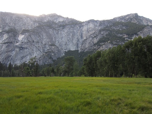 Une prairie