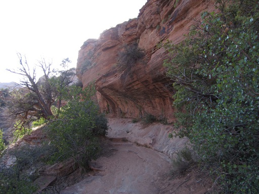 Le Canyon Overlook Trail